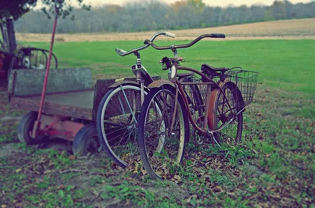 Schwinn balloon-tire cruiser